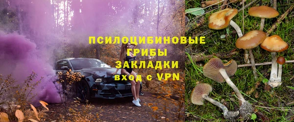 крисы Арсеньев