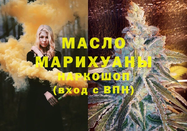 индика Балахна