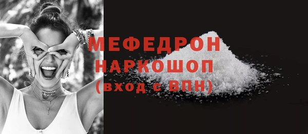 индика Балахна