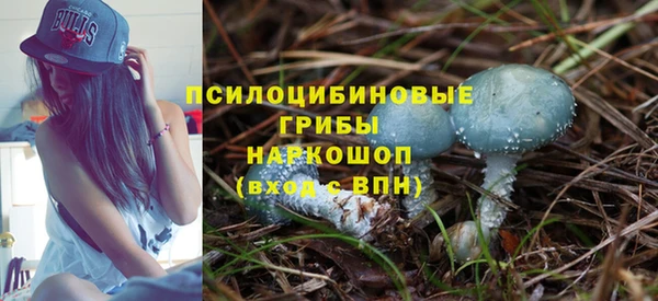 МДПВ Армянск