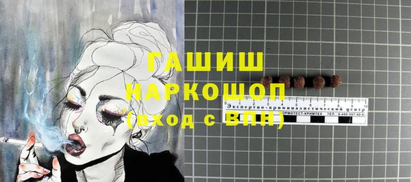 индика Балахна