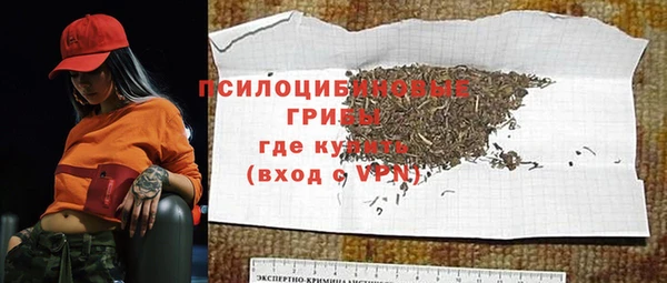 стаф Баксан