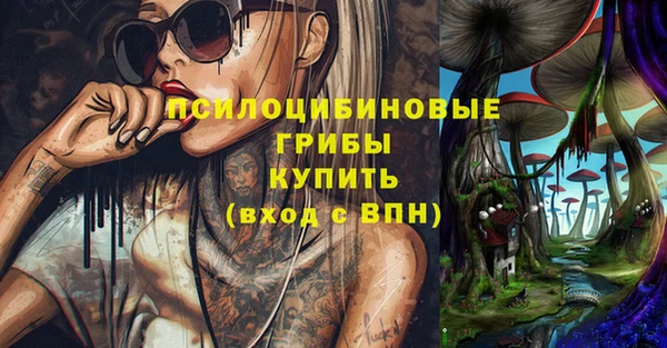МДПВ Армянск