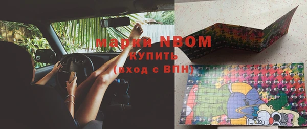 стаф Баксан