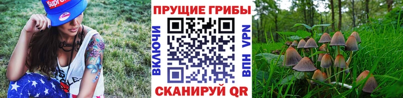 Псилоцибиновые грибы мухоморы Высоковск